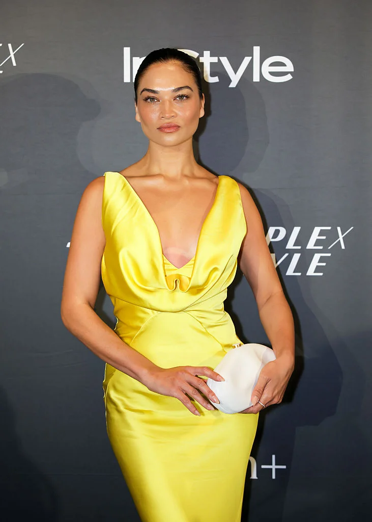 Outfit ID: Shanina Shaik 5.2.26