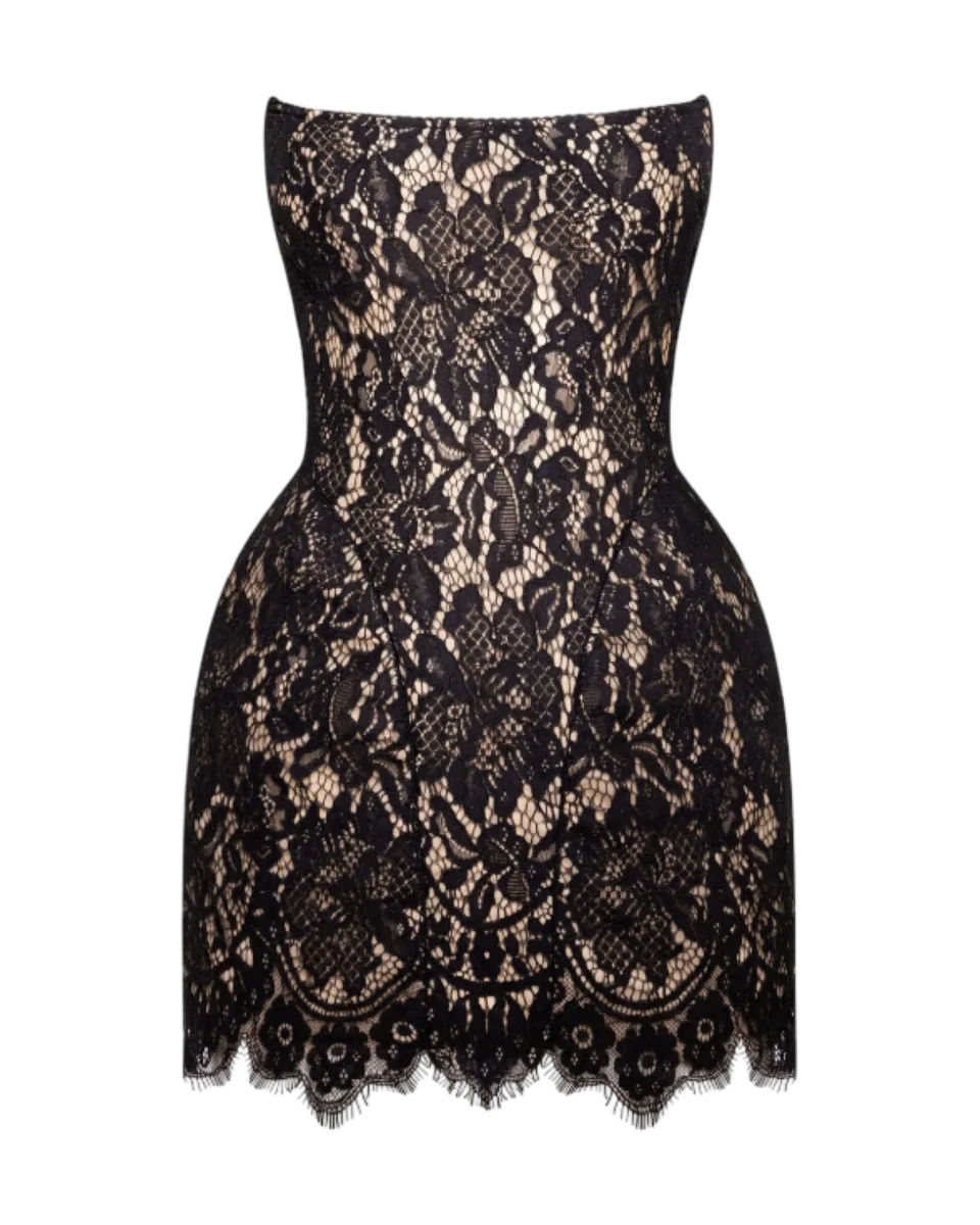 Fitted Black Lace Mini Dress