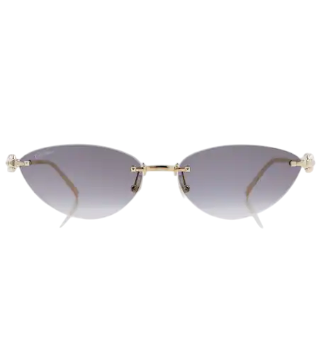 Clash De Cartier Cat-Eye Sunglasses