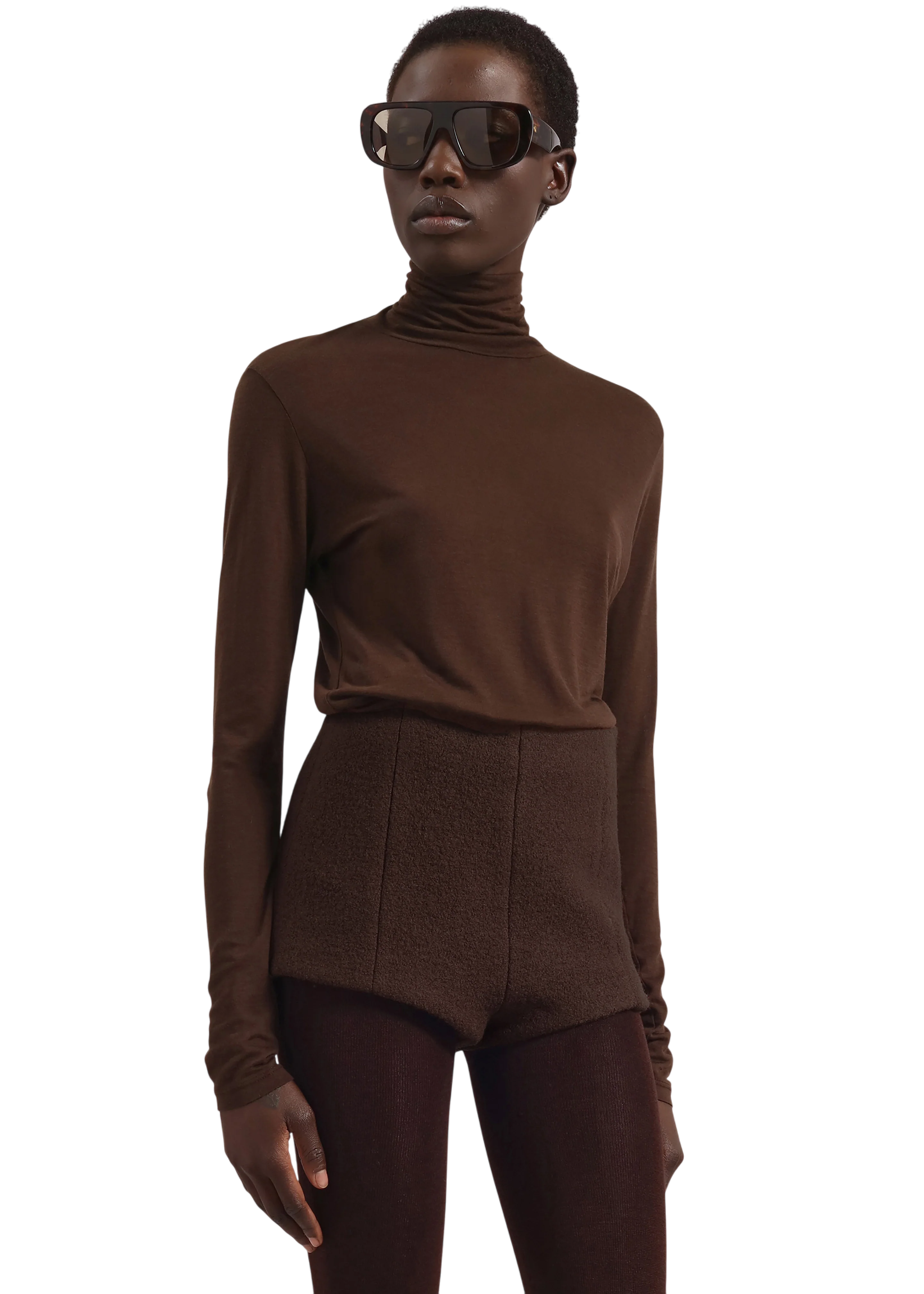 Evren Sheer Turtleneck - Brown