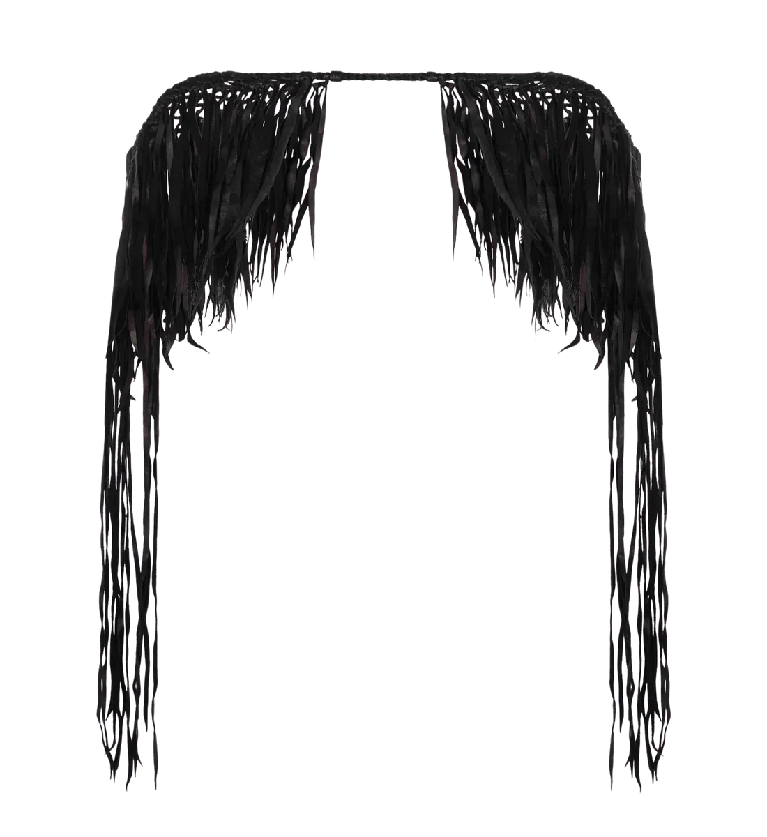 Coyopa Animal Collar