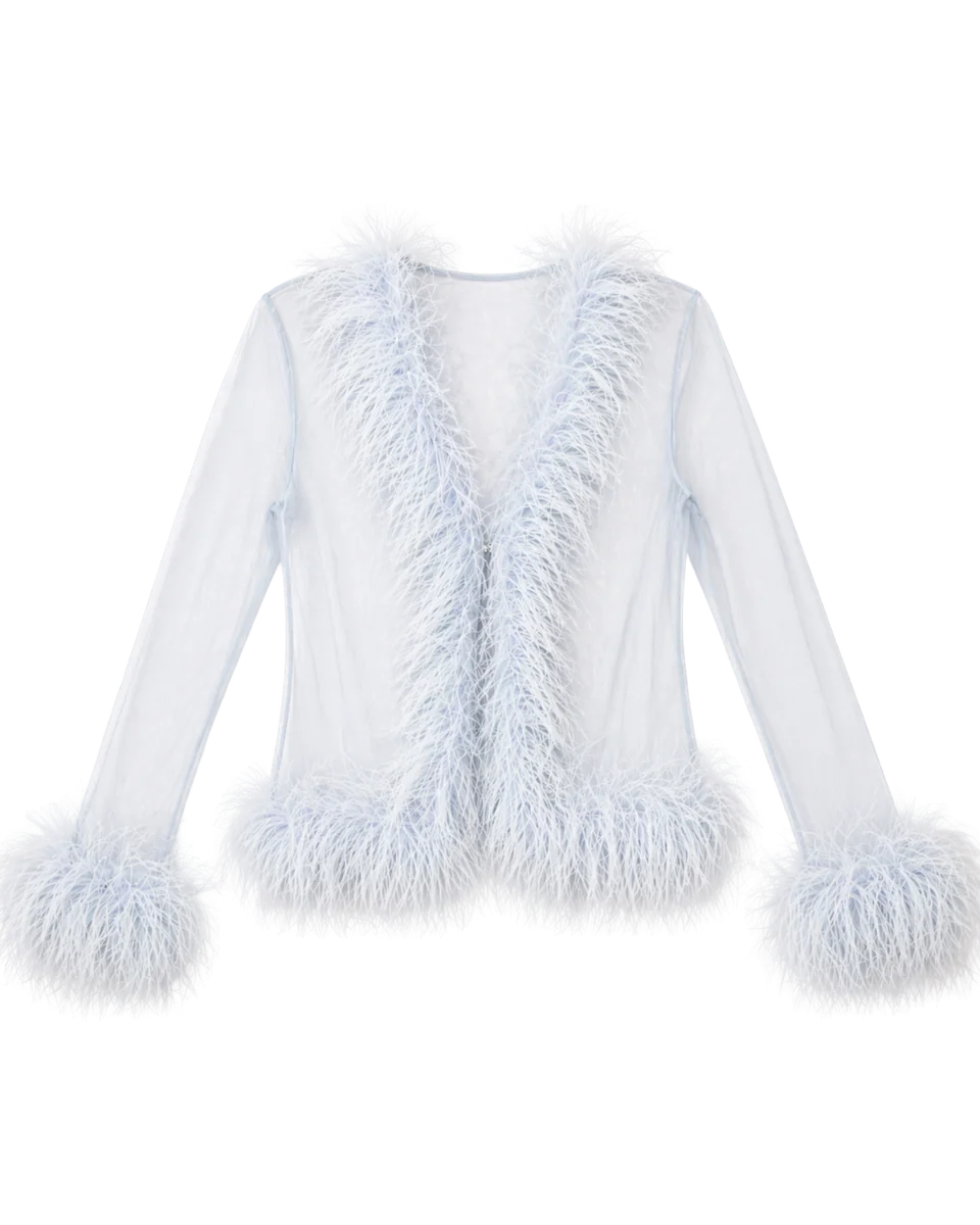 Gigi Sheer Feather Blouse
