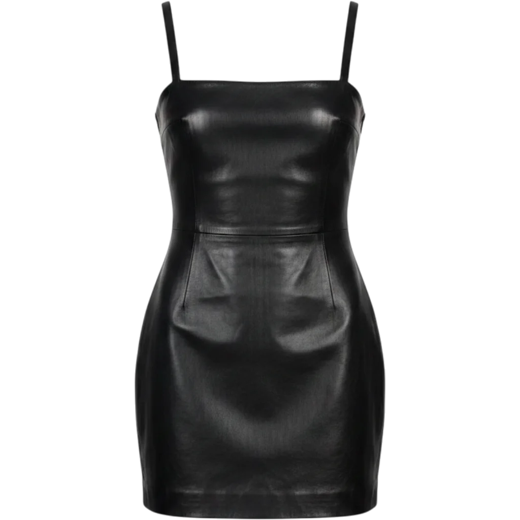 Harley Mini Dress